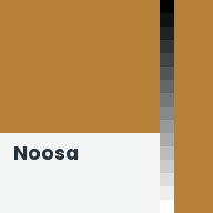 Color chip: Noosa