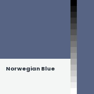 Color chip: Norwegian Blue