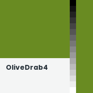 Color chip: OliveDrab4