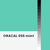 Color chip: ORACAL 055 mint