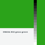 Color chip: ORACAL 602 grass green