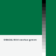 Color chip: ORACAL 604 cactus green