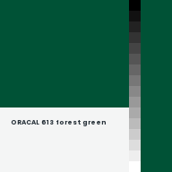 Color chip: ORACAL 613 forest green