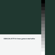 Color chip: ORACAL 677 fir tree green metallic