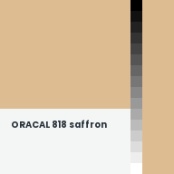 Color chip: ORACAL 818 saffron