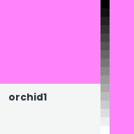 Color chip: orchid1