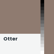 Color chip: Otter