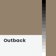 Color chip: Outback