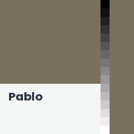 Color chip: Pablo