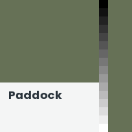 Color chip: Paddock
