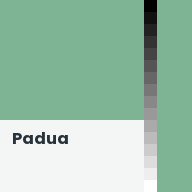 Color chip: Padua