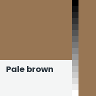 Color chip: Pale brown