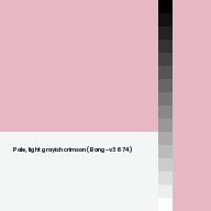 Color chip: Pale, light grayish crimson (Bang-v3 674)