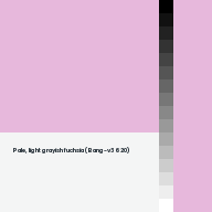Color chip: Pale, light grayish fuchsia (Bang-v3 620)