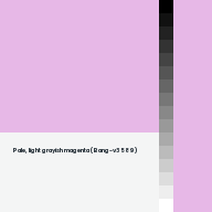 Color chip: Pale, light grayish magenta (Bang-v3 589)