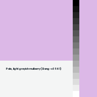Color chip: Pale, light grayish mulberry (Bang-v3 561)