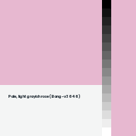 Color chip: Pale, light grayish rose (Bang-v3 646)
