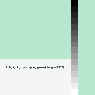 Color chip: Pale, light grayish spring green (Bang-v3 307)