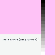 Color chip: Pale orchid (Bang-v3 604)