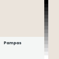 Color chip: Pampas