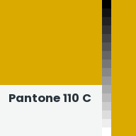 Color chip: Pantone 110 C