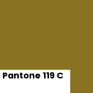 Color chip: Pantone 119 C