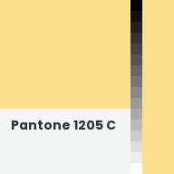 Color chip: Pantone 1205 C