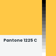 Color chip: Pantone 1225 C
