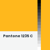 Color chip: Pantone 1235 C