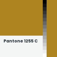 Color chip: Pantone 1255 C