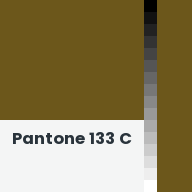 Color chip: Pantone 133 C