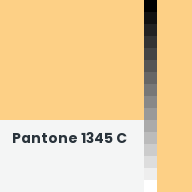 Color chip: Pantone 1345 C