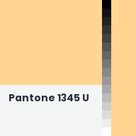 Color chip: Pantone 1345 U