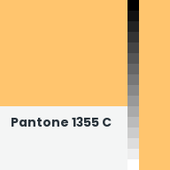 Color chip: Pantone 1355 C