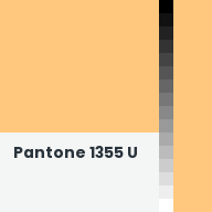 Color chip: Pantone 1355 U