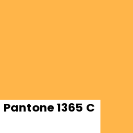 Color chip: Pantone 1365 C