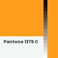 Color chip: Pantone 1375 C