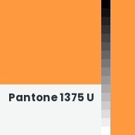 Color chip: Pantone 1375 U