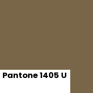 Color chip: Pantone 1405 U