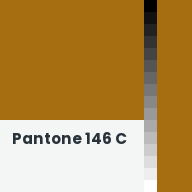 Color chip: Pantone 146 C