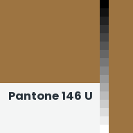 Color chip: Pantone 146 U