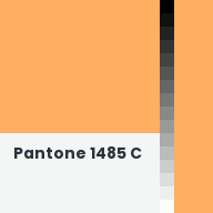 Color chip: Pantone 1485 C