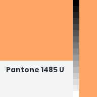 Color chip: Pantone 1485 U
