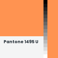 Color chip: Pantone 1495 U