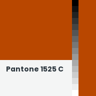 Color chip: Pantone 1525 C