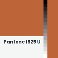 Color chip: Pantone 1525 U