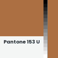 Color chip: Pantone 153 U