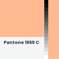 Color chip: Pantone 1555 C
