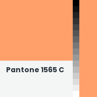Color chip: Pantone 1565 C