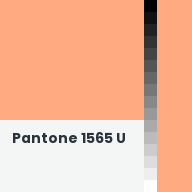 Color chip: Pantone 1565 U